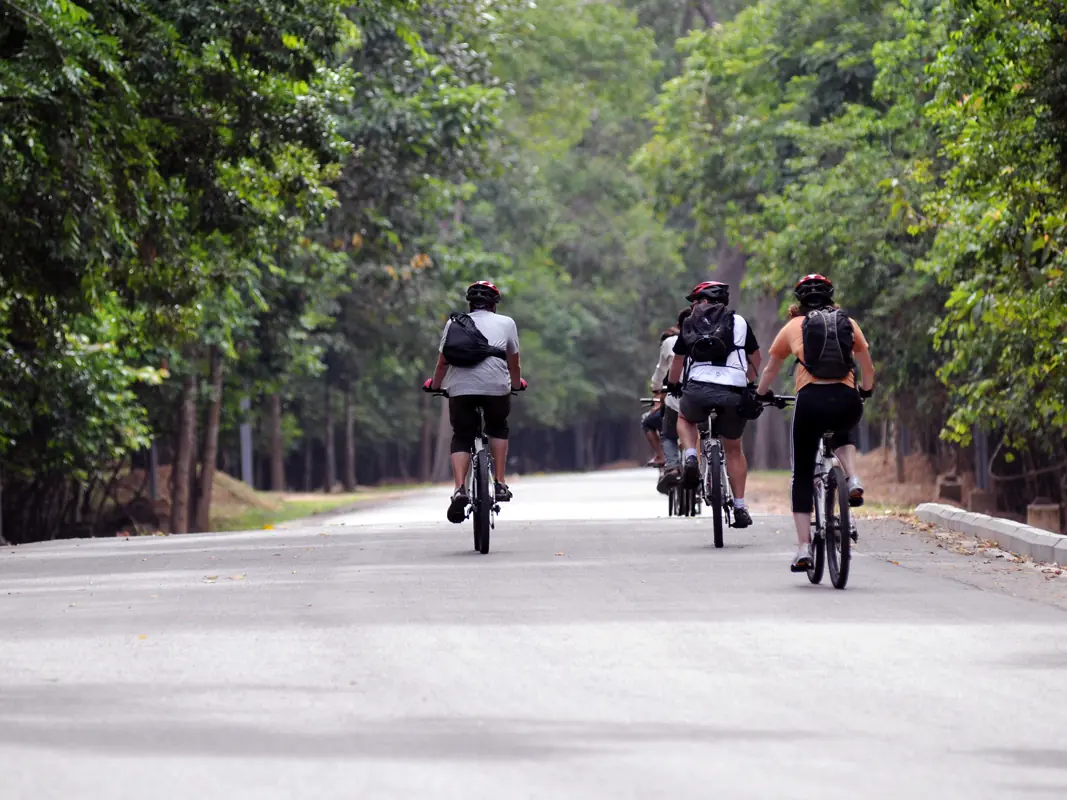 Angkor Silk Farm E-Bike Tour